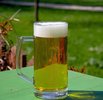 The Student Pint