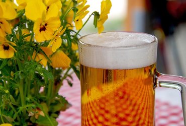 The Student Pint